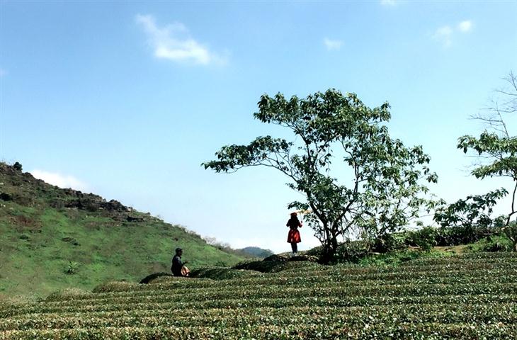 ທ່ອງທ່ຽວມົກເຈົາຍາມລະດູບານໃໝ່-ທັດສະນີຍະພາບສວຍງາມຢູ່ທຸກແຫ່ງ